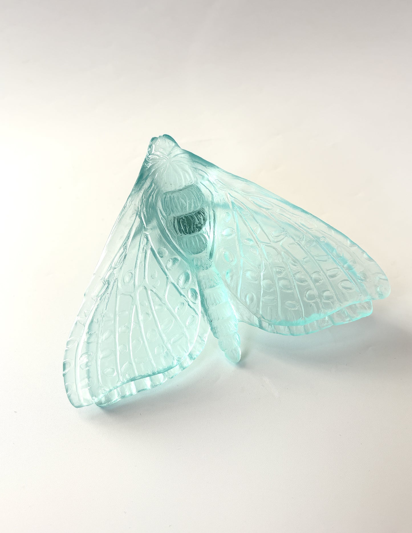 Lake Blue Glass Moth / Pūriri (Wings in)  Artwork - Classic - by Luke Jacomb