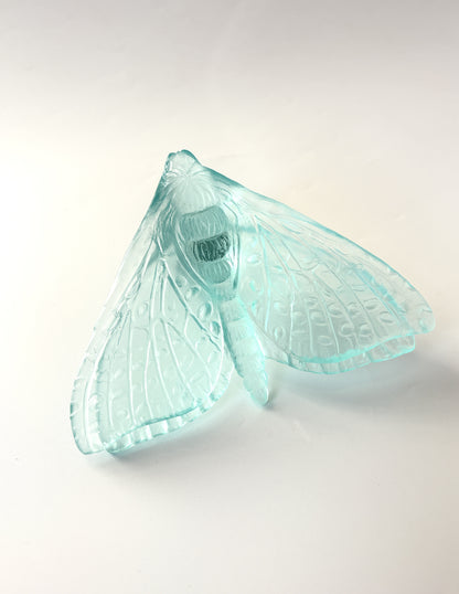 Lake Blue Glass Moth / Pūriri (Wings in)  Artwork - Classic - by Luke Jacomb