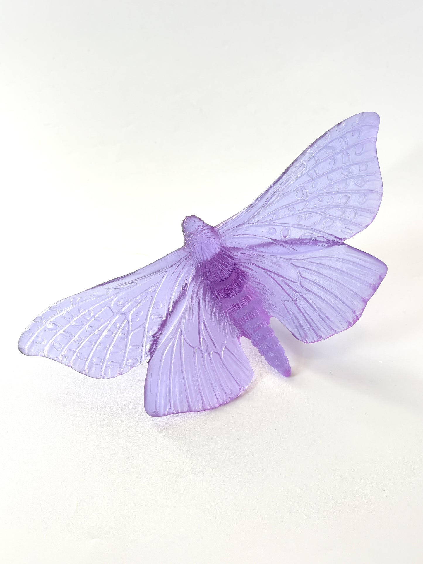 Lilac Large Glass Moth / Pūriri  Artwork - Classic - by Luke Jacomb