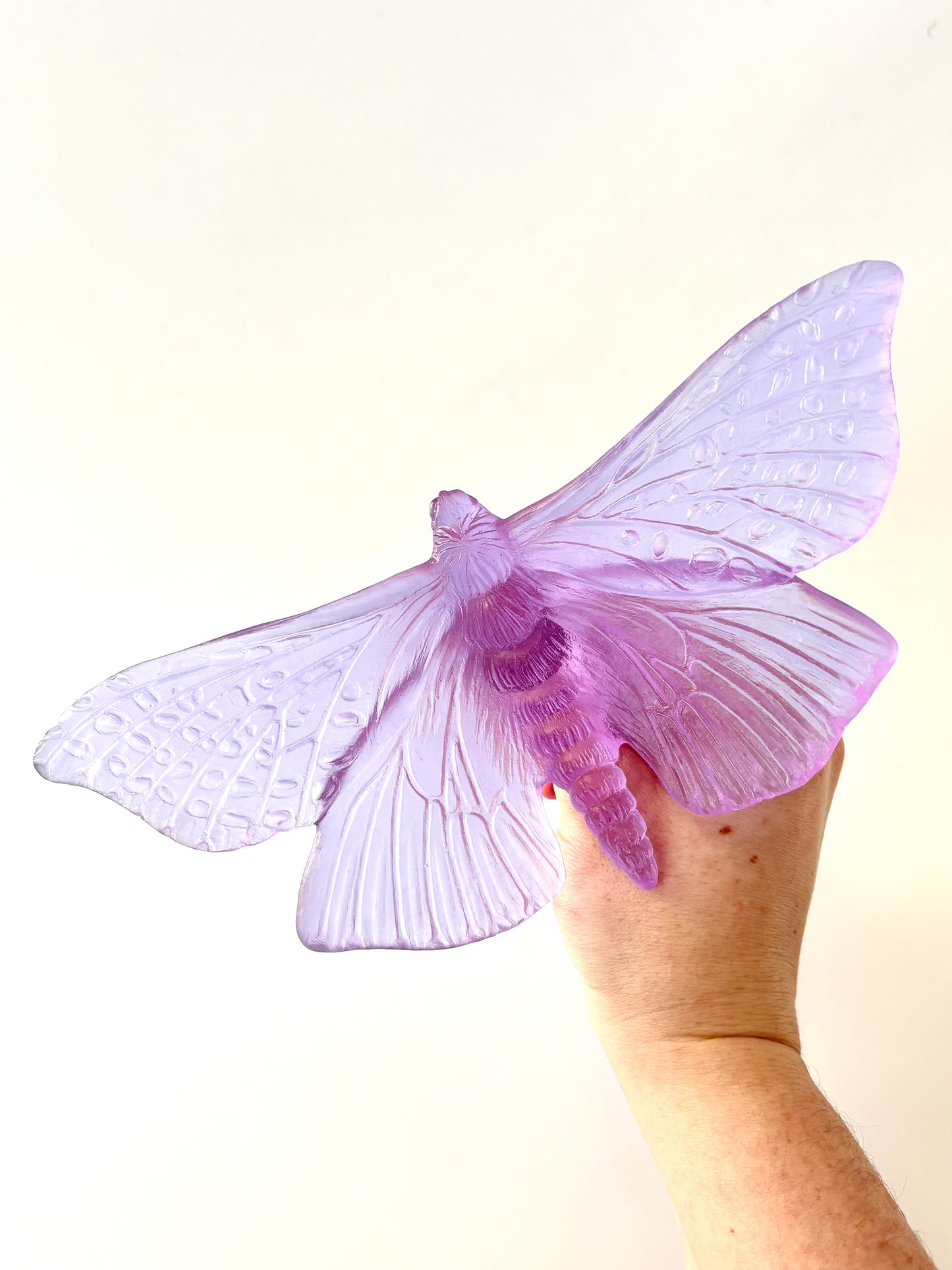 Lilac Large Glass Moth / Pūriri  Artwork - Classic - by Luke Jacomb