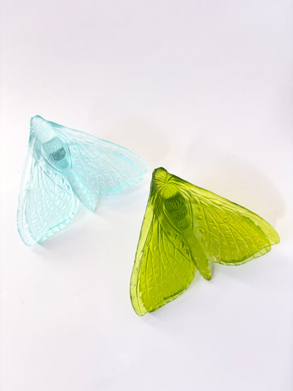 Lime Glass Moth / Pūriri (Wings in) Artwork - Classic - by Luke Jacomb