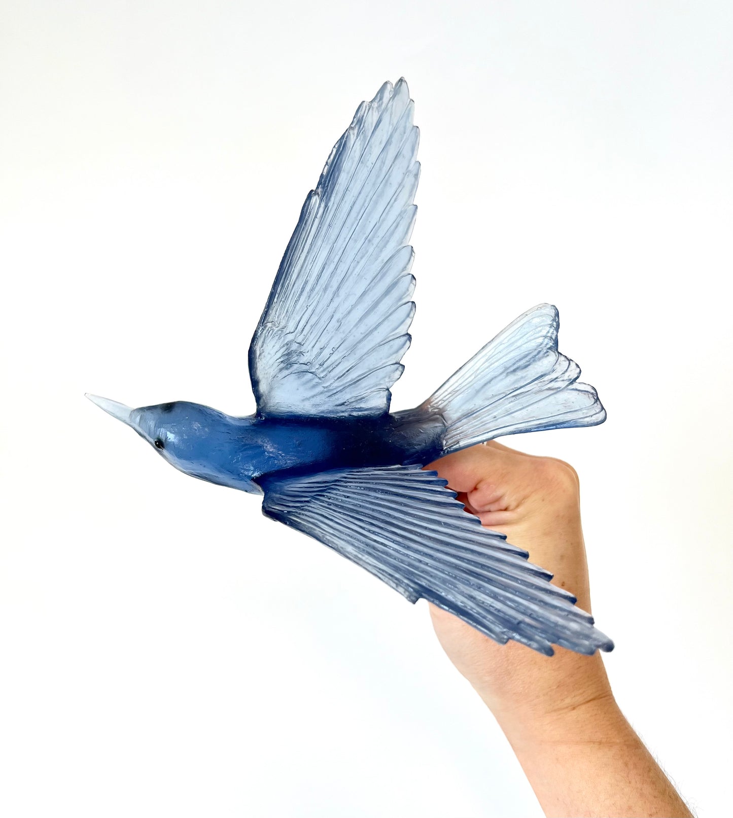 Bellbird / Korimako - Steel Blue