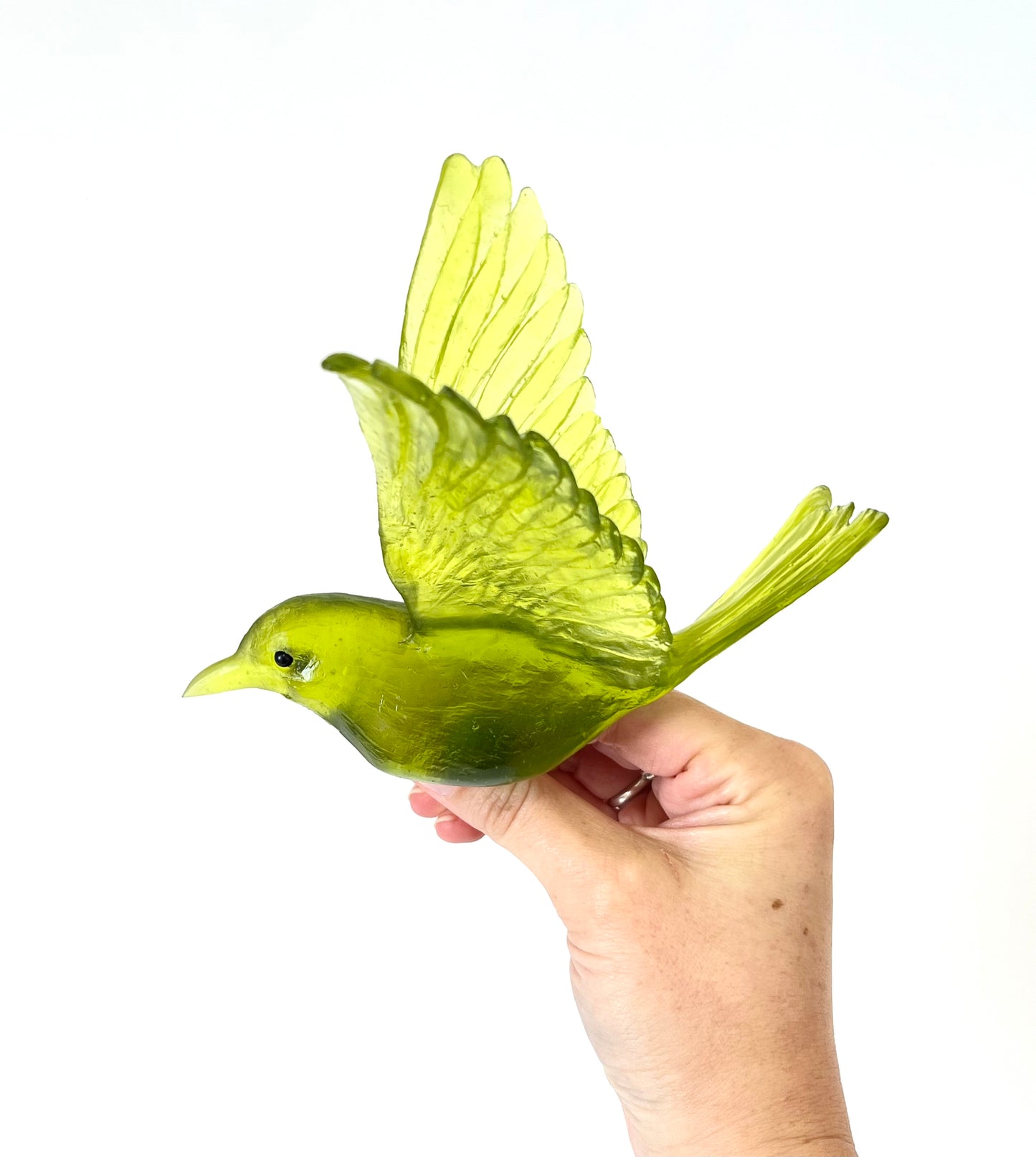 Stitchbird / Hihi - Olive