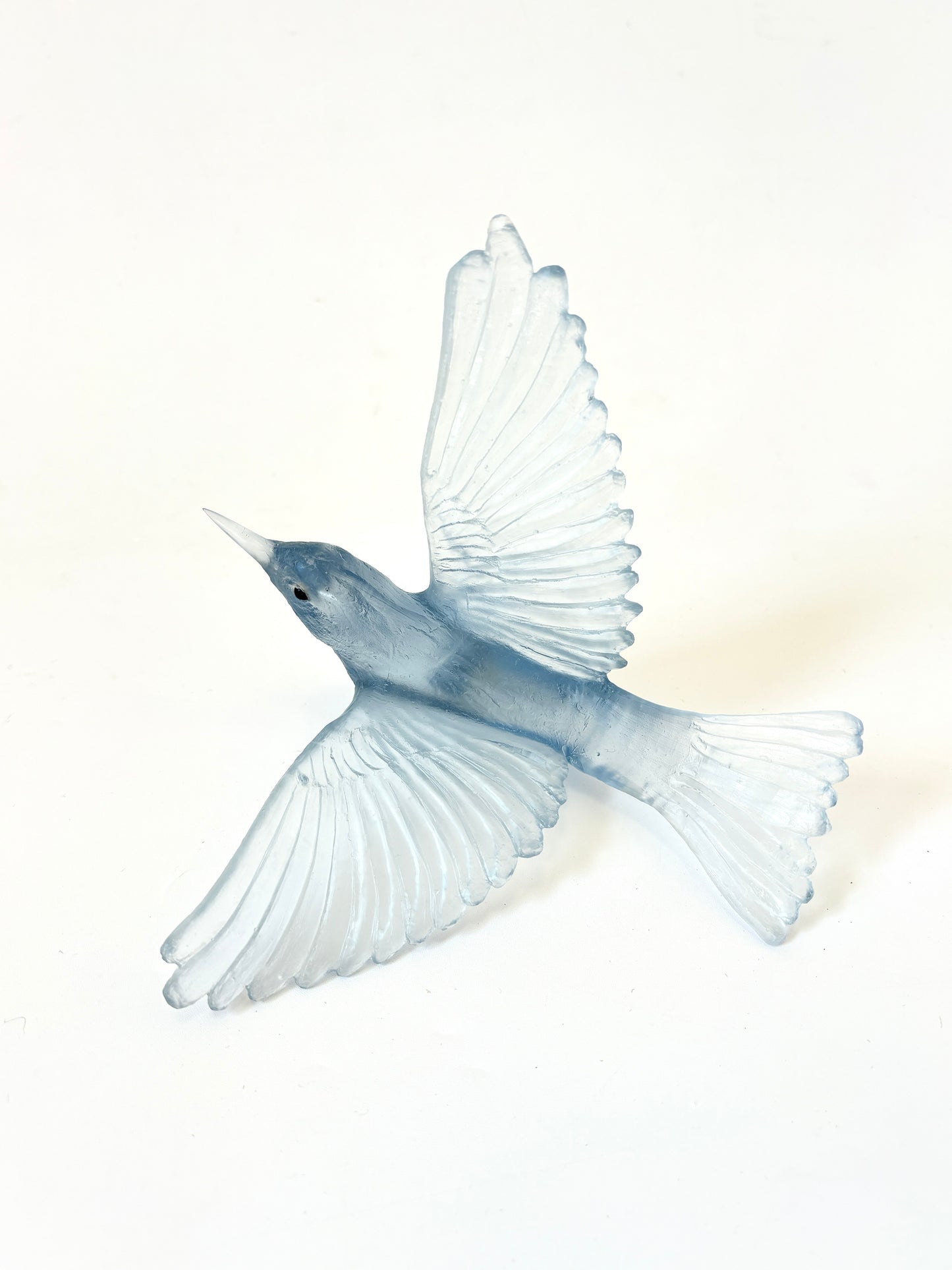 Silvereye / Tauhou - Pale Steel Blue