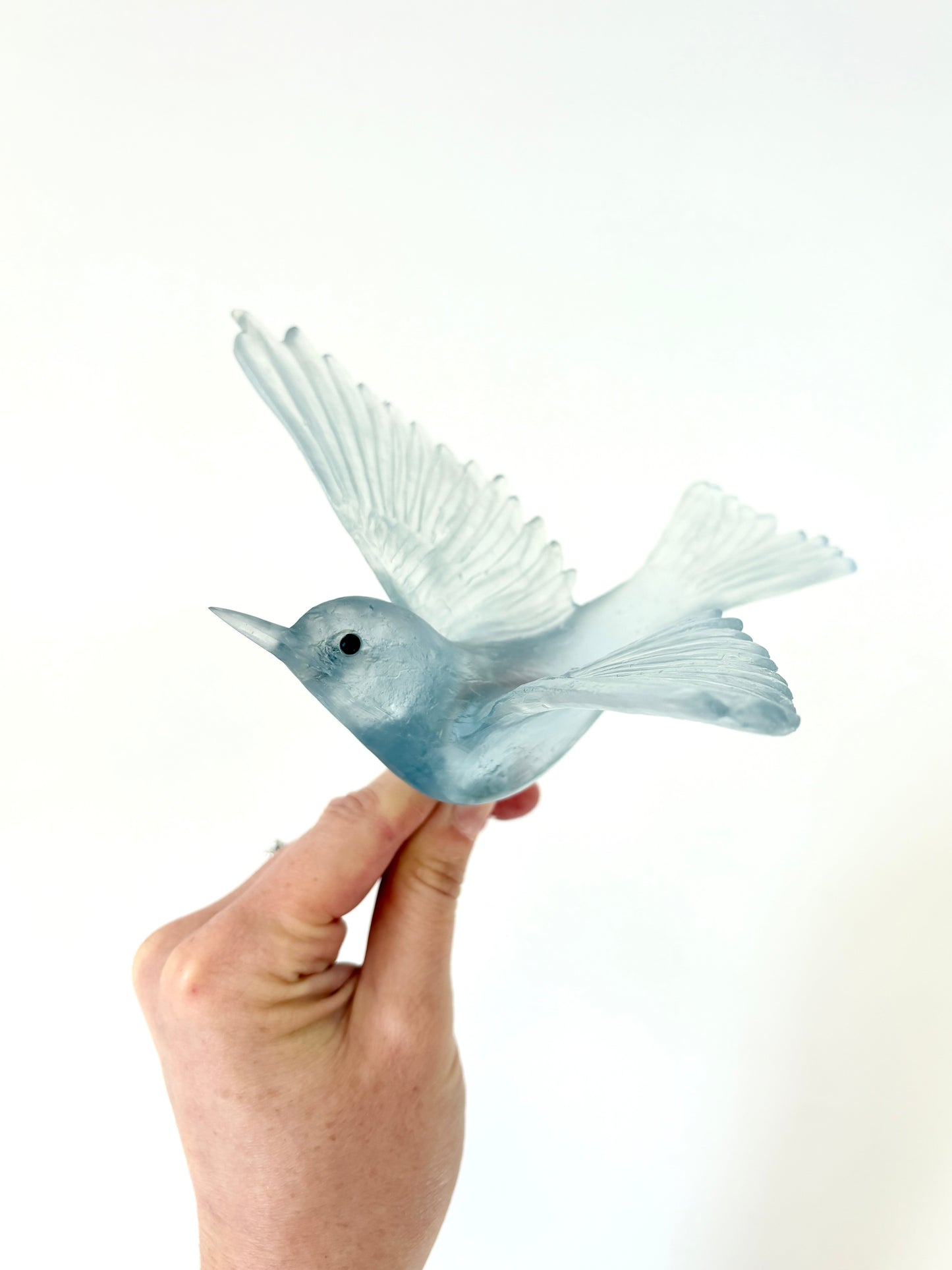 Silvereye / Tauhou - Pale Steel Blue