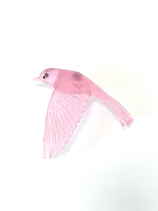 Pōpokotea / Whitehead - Pink