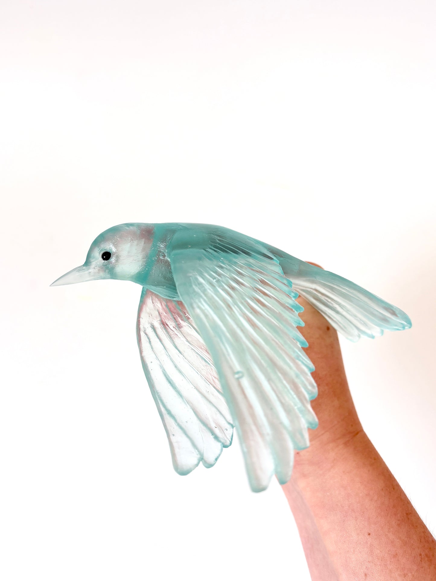 Pōpokotea / Whitehead - Limited Edition Lake Blue