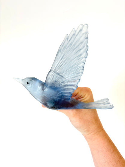 Shining Cuckoo / Pipiwharauroa - Denim - By Luke Jacomb