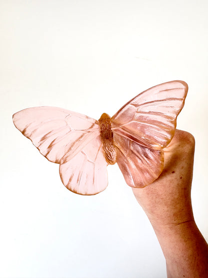 Peach Admiral Glass Butterfly Artwork - Classic Medium - by Luke Jacomb