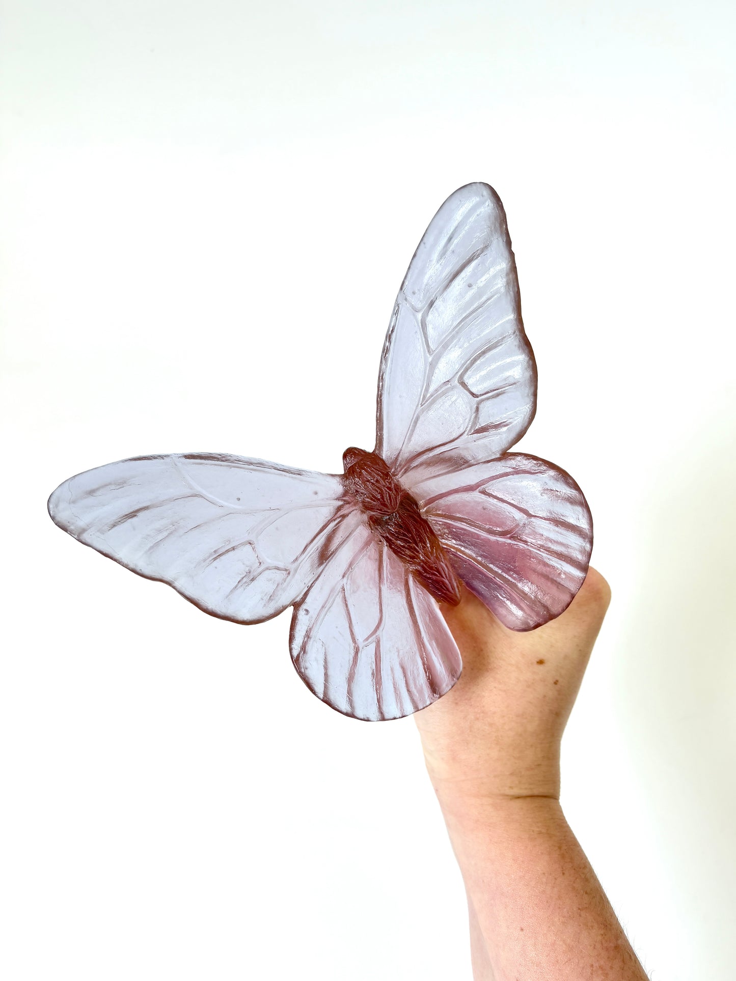 Rose Monarch Glass Butterfly Artwork - Classic Large - by Luke Jacomb