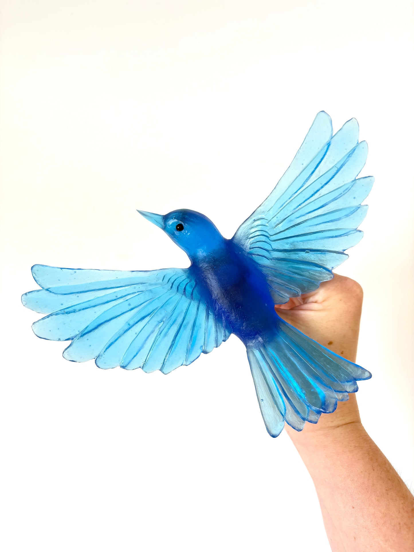 Yellowhead / Mōhua - Aquamarine