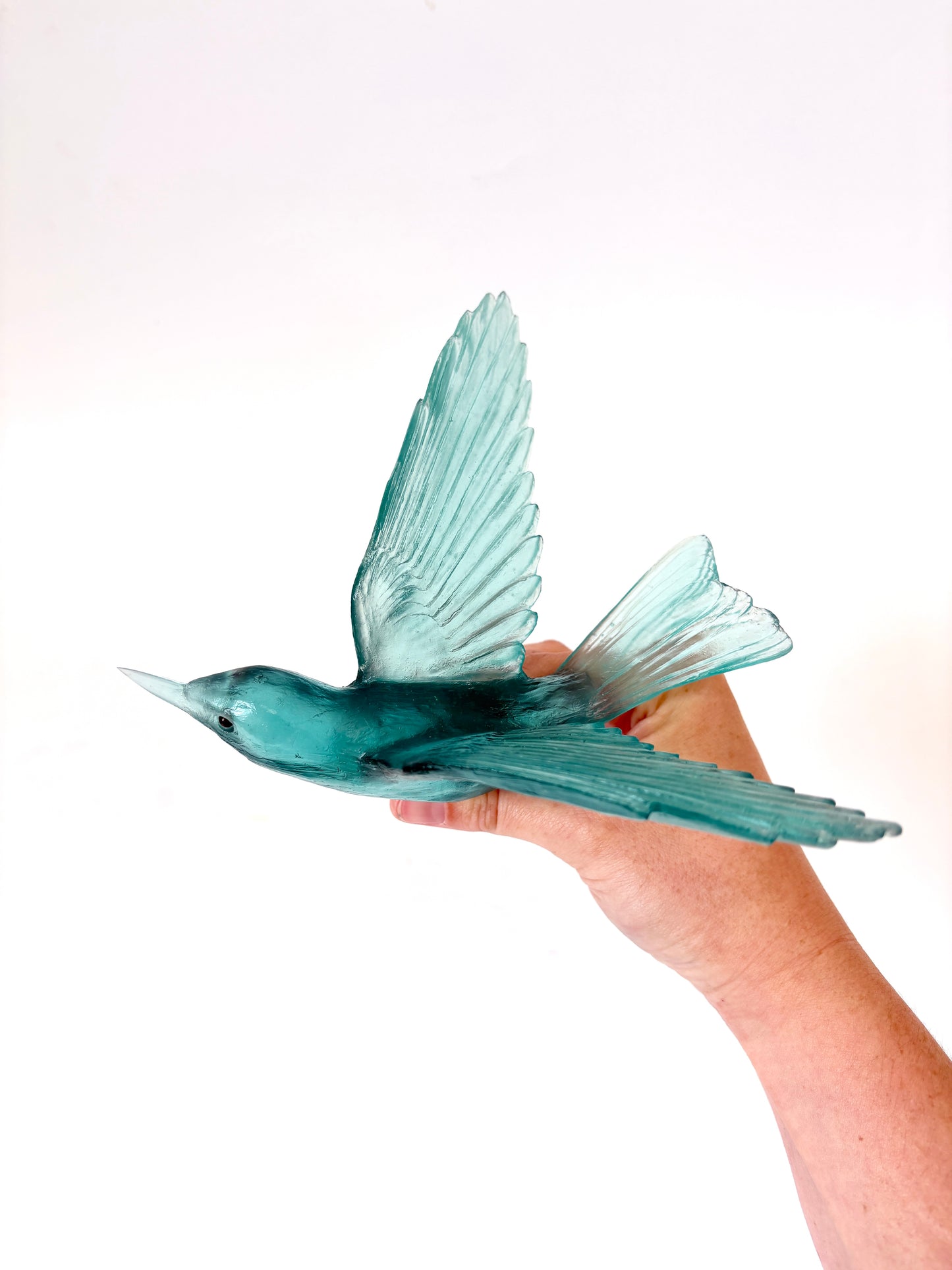 Bellbird / Korimako - Teal