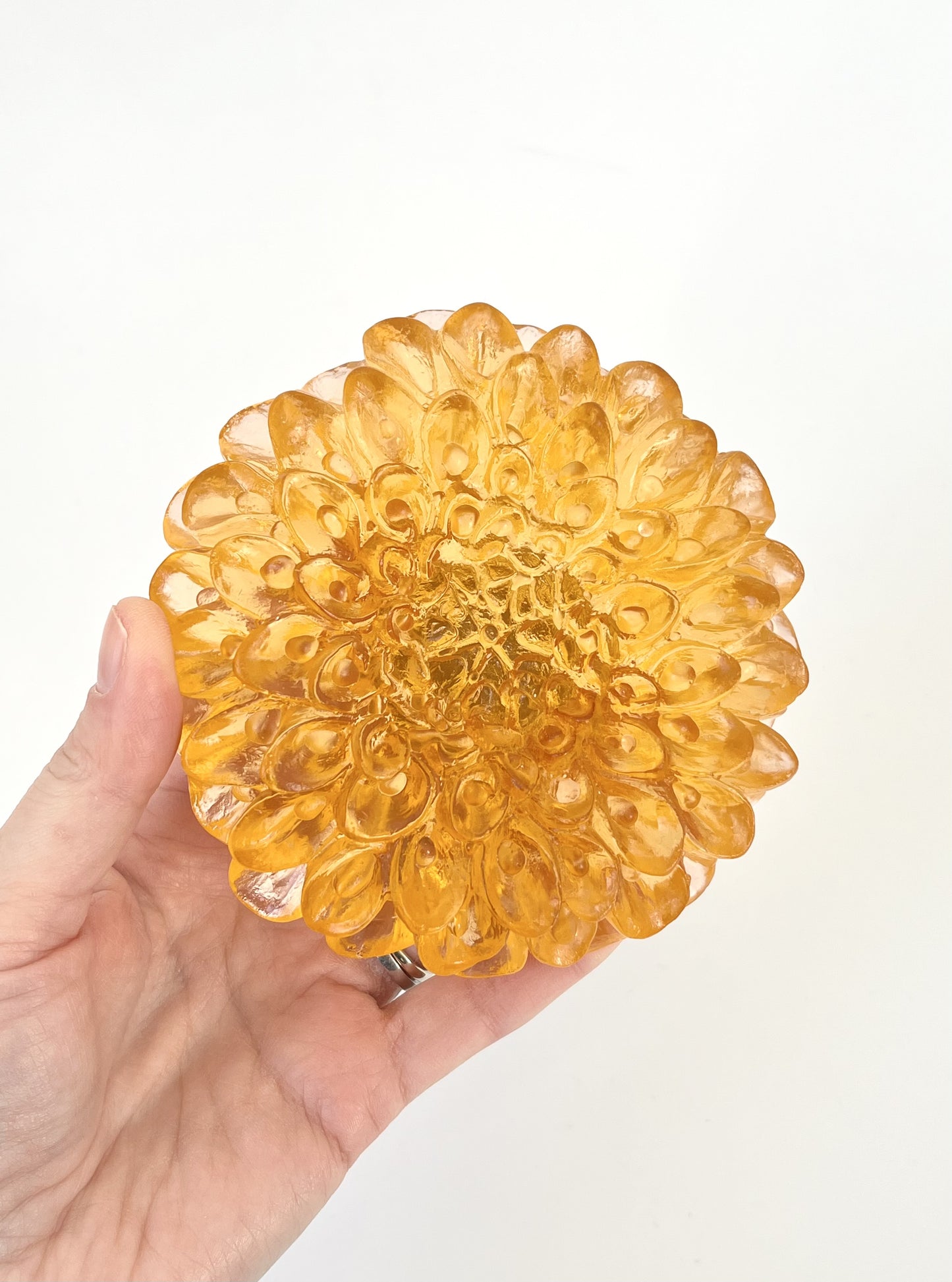 Dahlia in Cast Glass - Apricot