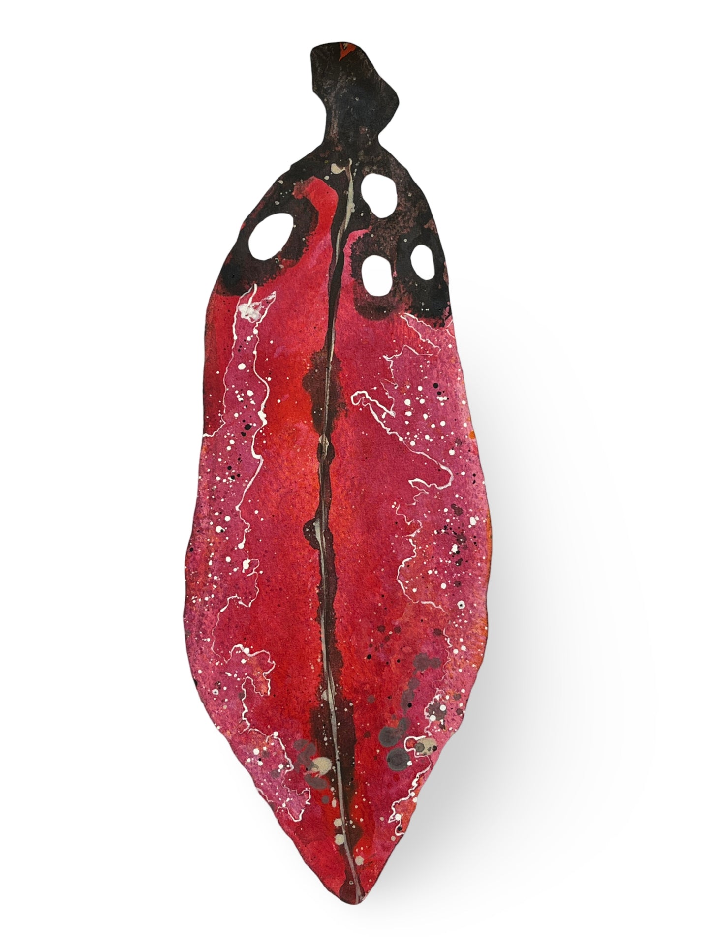 Medium Pohutukawa Leaf (17508)