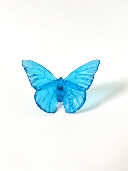 Copper Blue Medium Glass Butterfly Artwork - Classic - by Luke Jacomb