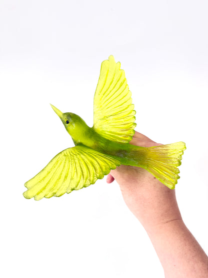 Silvereye / Tauhou - Lime