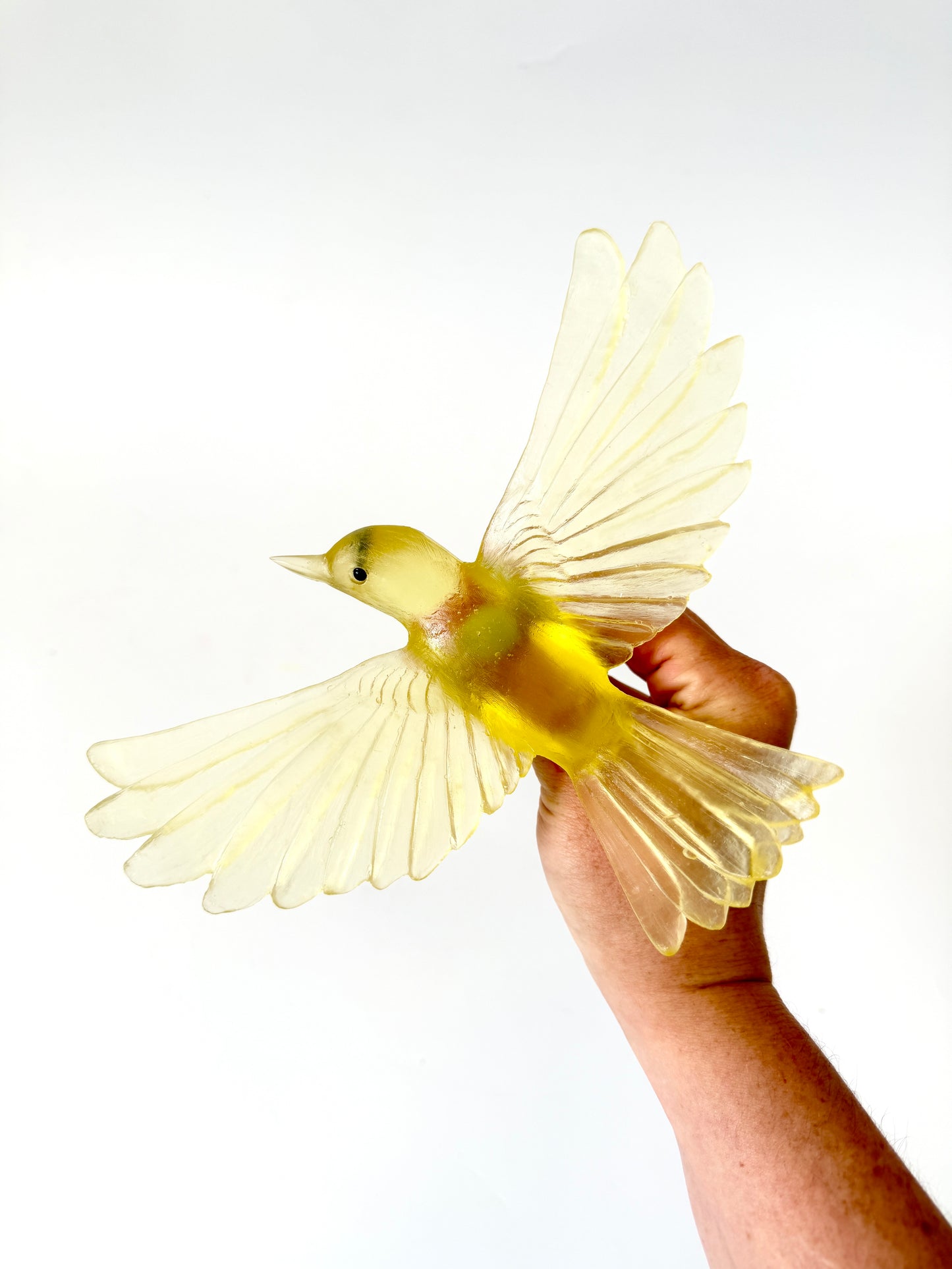 Yellowhead / Mōhua - Citrine