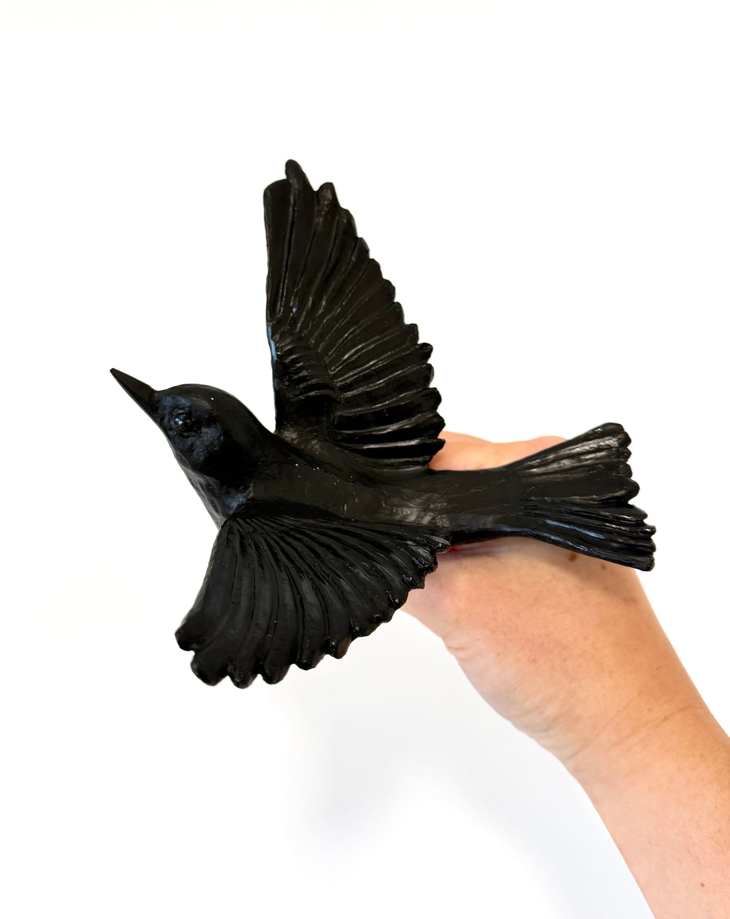 Silvereye / Tauhou - Black