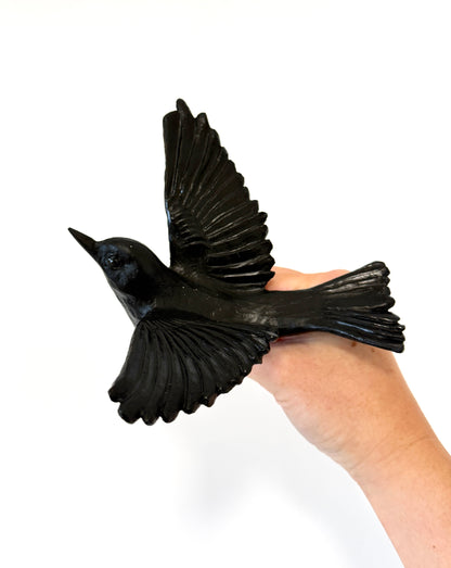 Silvereye / Tauhou - Black