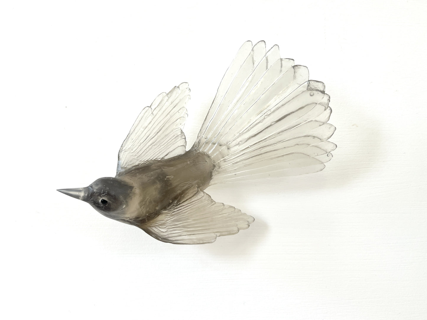Fantail / Pīwakawaka - Tea - By Luke Jacomb Studio (New Colour!)