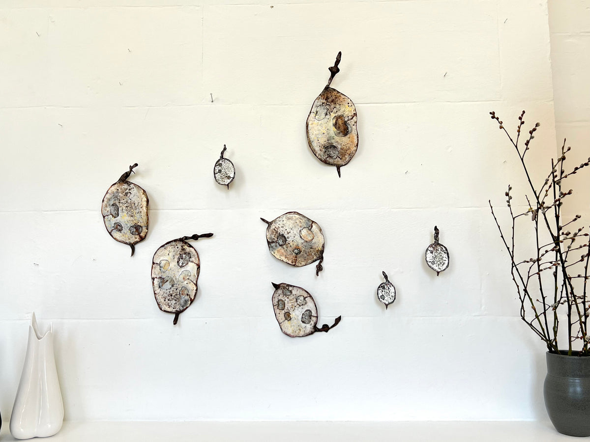 Small Honesty Seed Pod Canvas Artwork  - "Honesty" (25082)
