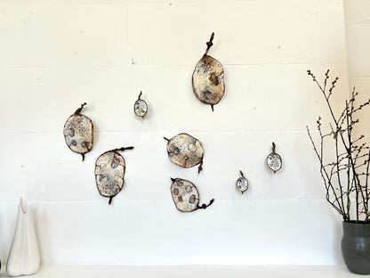 Small Honesty Seed Pod Canvas Artwork  - "Honesty" (25082)