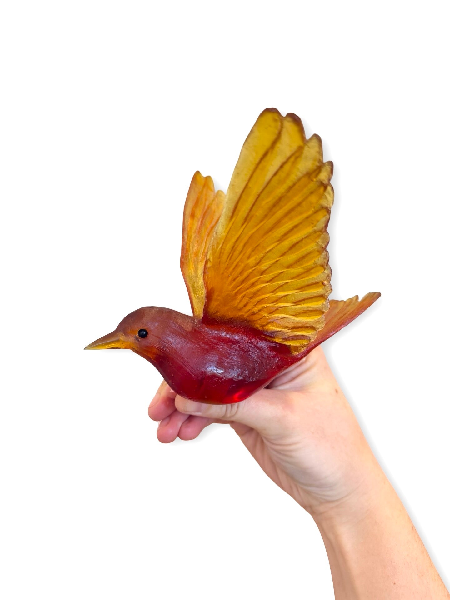 Stitchbird / Hihi - Dark Orange Red