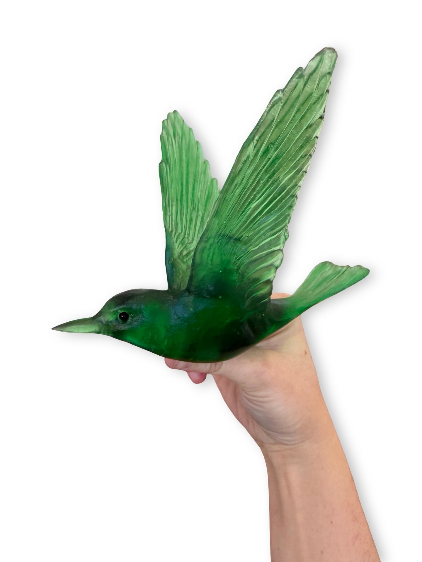 Shining Cuckoo / Pipiwharauroa - Emerald