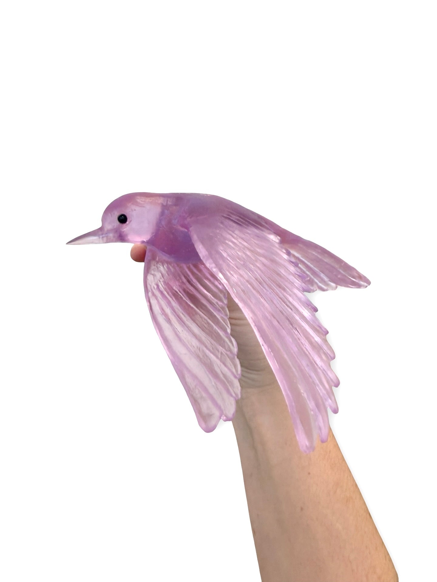 Pōpokotea / Whitehead - Fuchsia