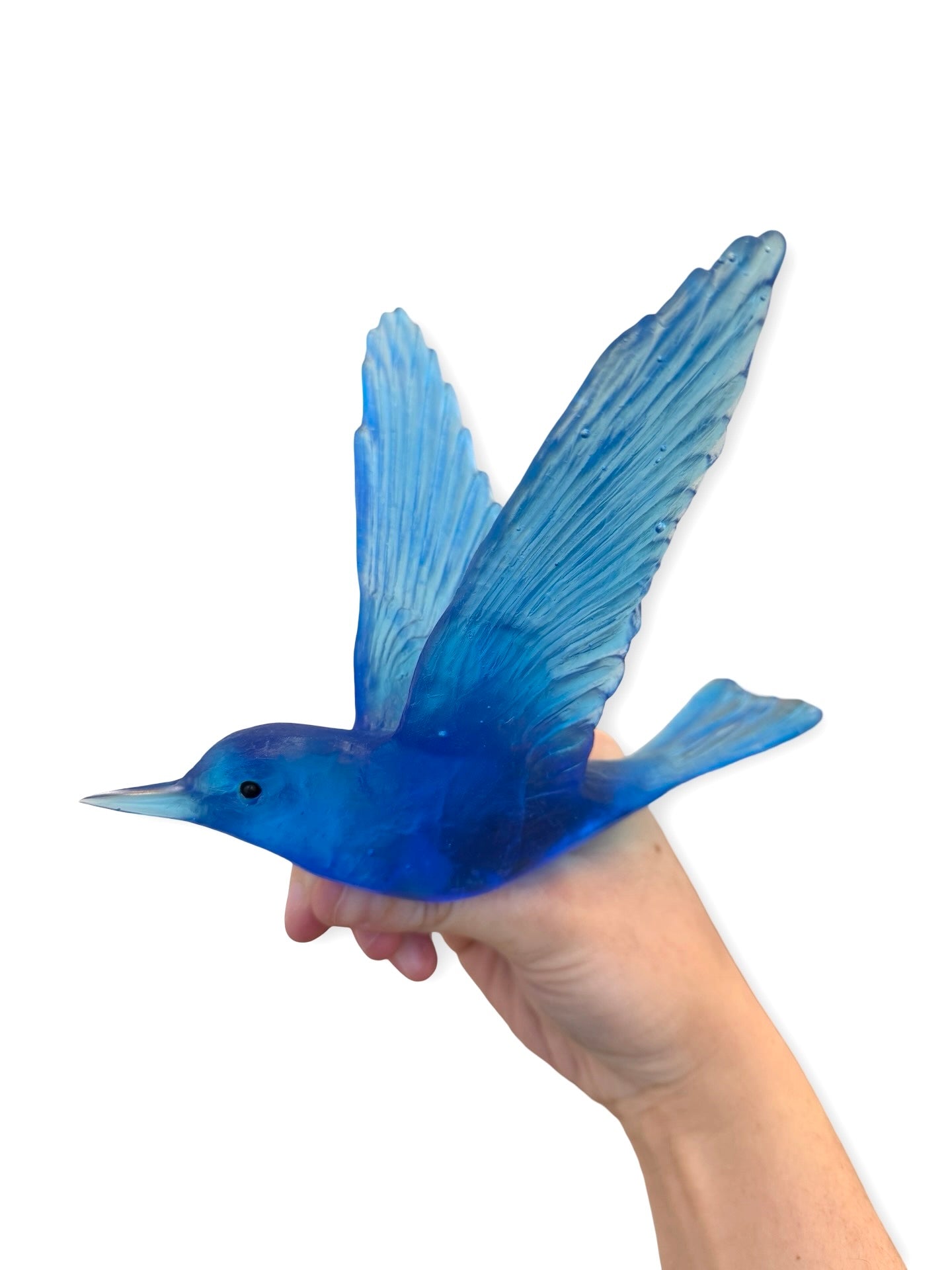 Shining Cuckoo / Pipiwharauroa - Aquamarine