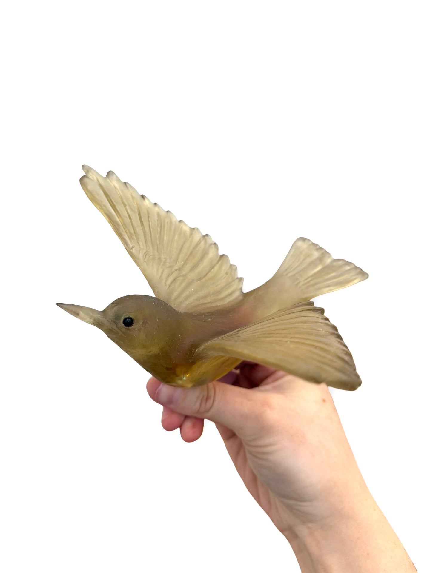 Silvereye / Tauhou - Bronze