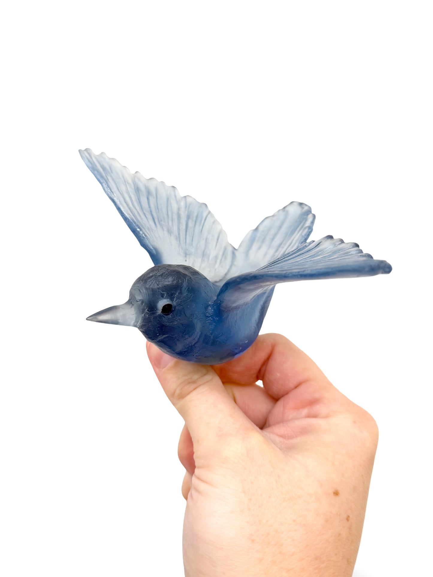 Tomtit / Kōmiromiro - Steel Blue