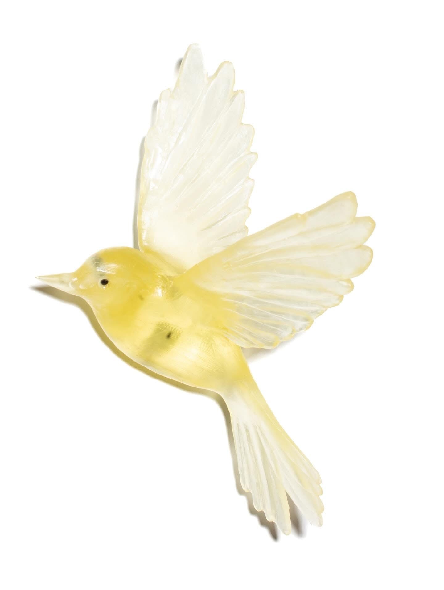 Fernbird / Mātātā - Citrine - Glass artwork by Luke Jacomb