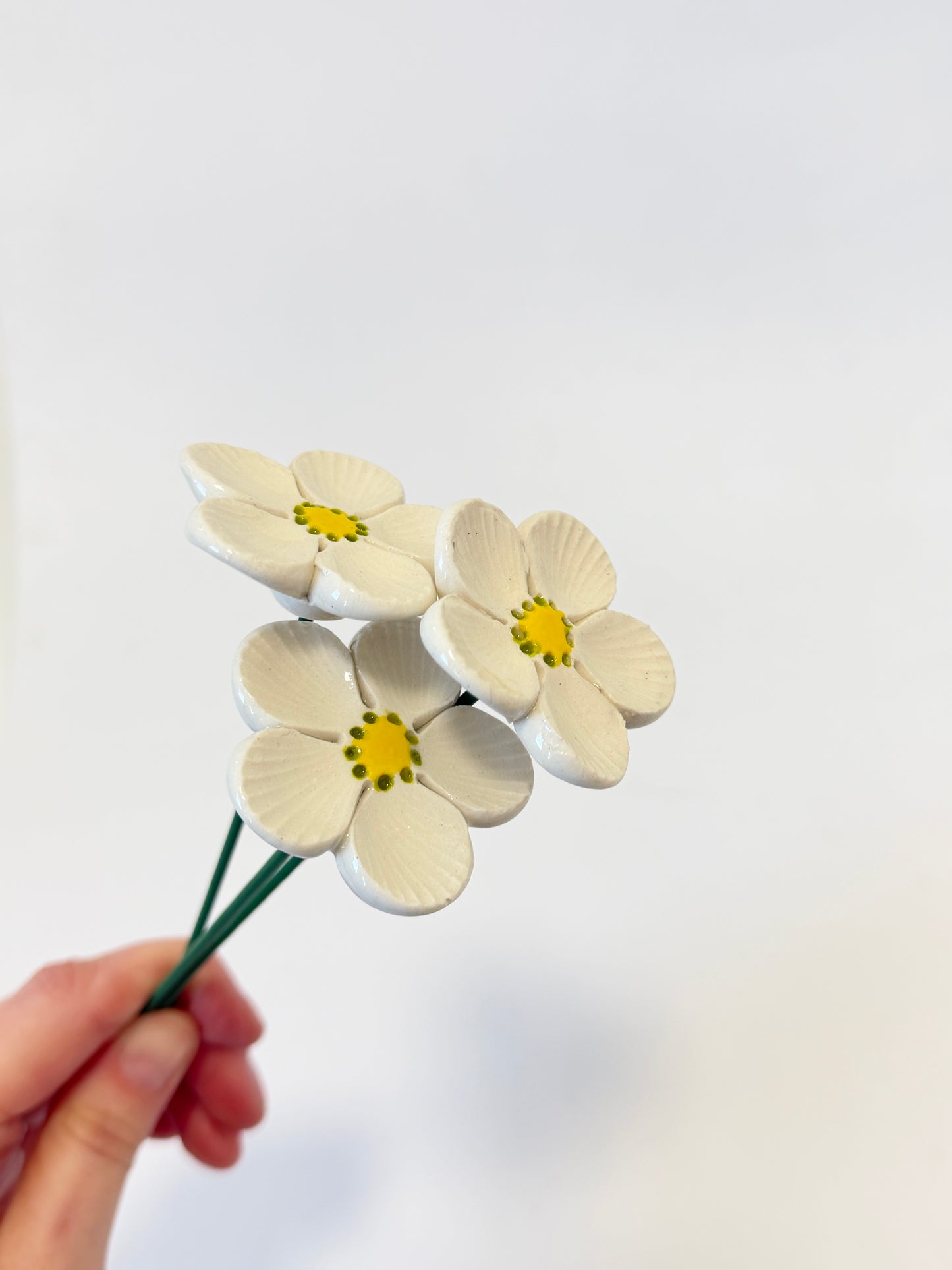 White Anemone 5 Petal Green Dotty Centre – Ceramic Flower