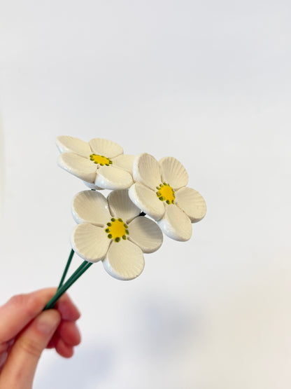 White Anemone 5 Petal Green Dotty Centre – Ceramic Flower