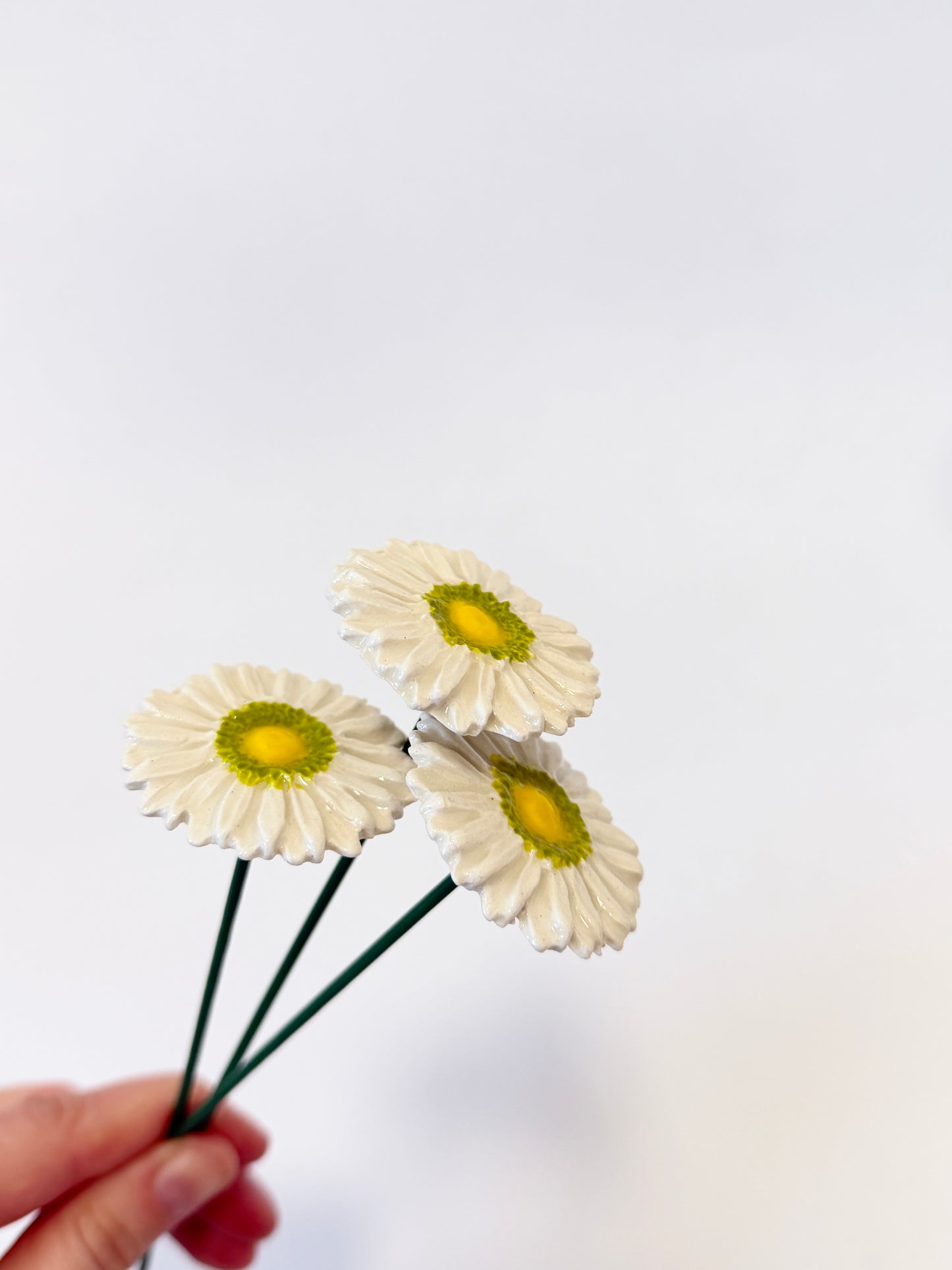 White Marguerite with yellow & green centre - Ceramic Flower