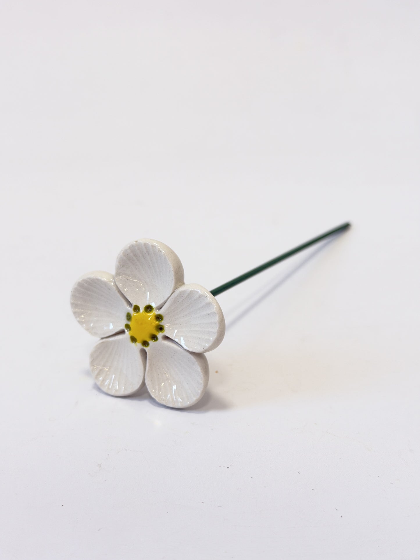 White Anemone 5 Petal Green Dotty Centre – Ceramic Flower