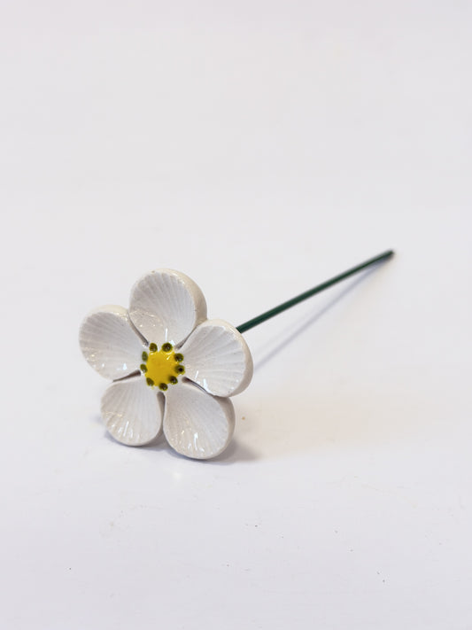 White Anemone 5 Petal Green Dotty Centre – Ceramic Flower