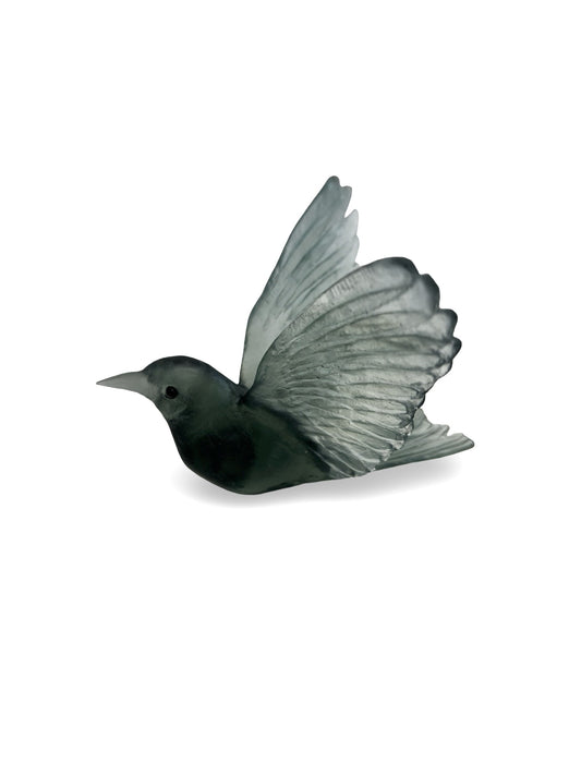 Stitchbird / Hihi - Storm Grey - Glass Wall Artwork by Luke Jacomb