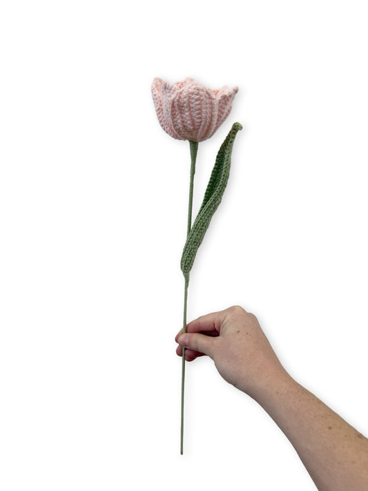 Crochet Tulip - Soft Pink
