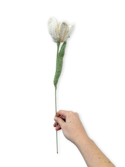 Crochet Tulip - White