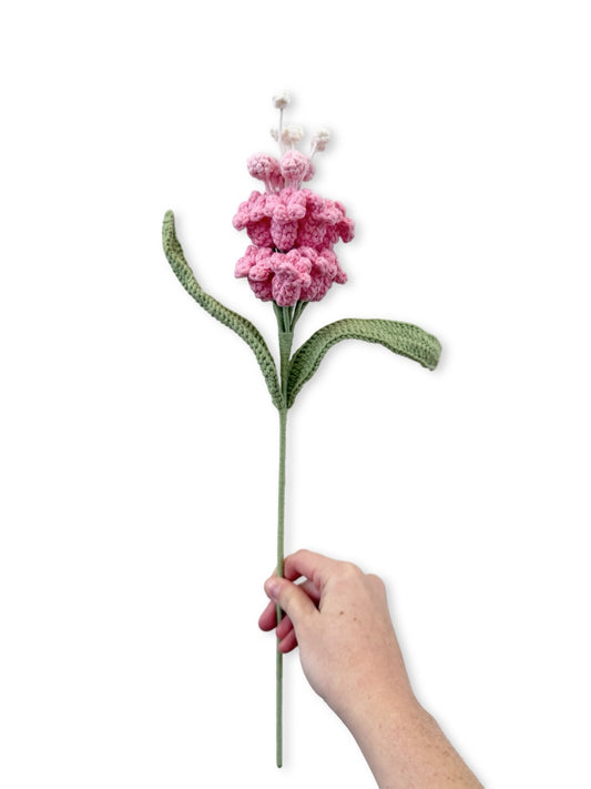Crochet Hyacinth - Pink
