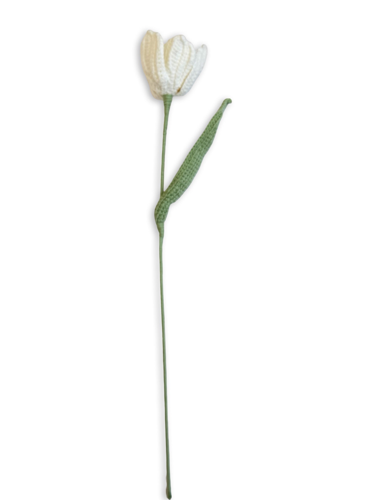 Crochet Tulip - White