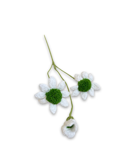 Crochet Blue Eyed Daisy - White with green centre