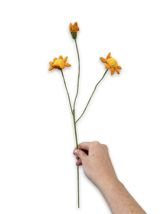 Crochet Blue Eyed Daisy - Orange/Yellow