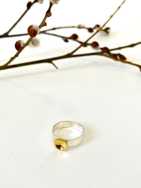 Sterling Silver & Brass Curved Disc Ring