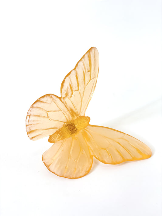 Apricot Large Glass Butterfly Artwork - Classic - by Luke Jacomb