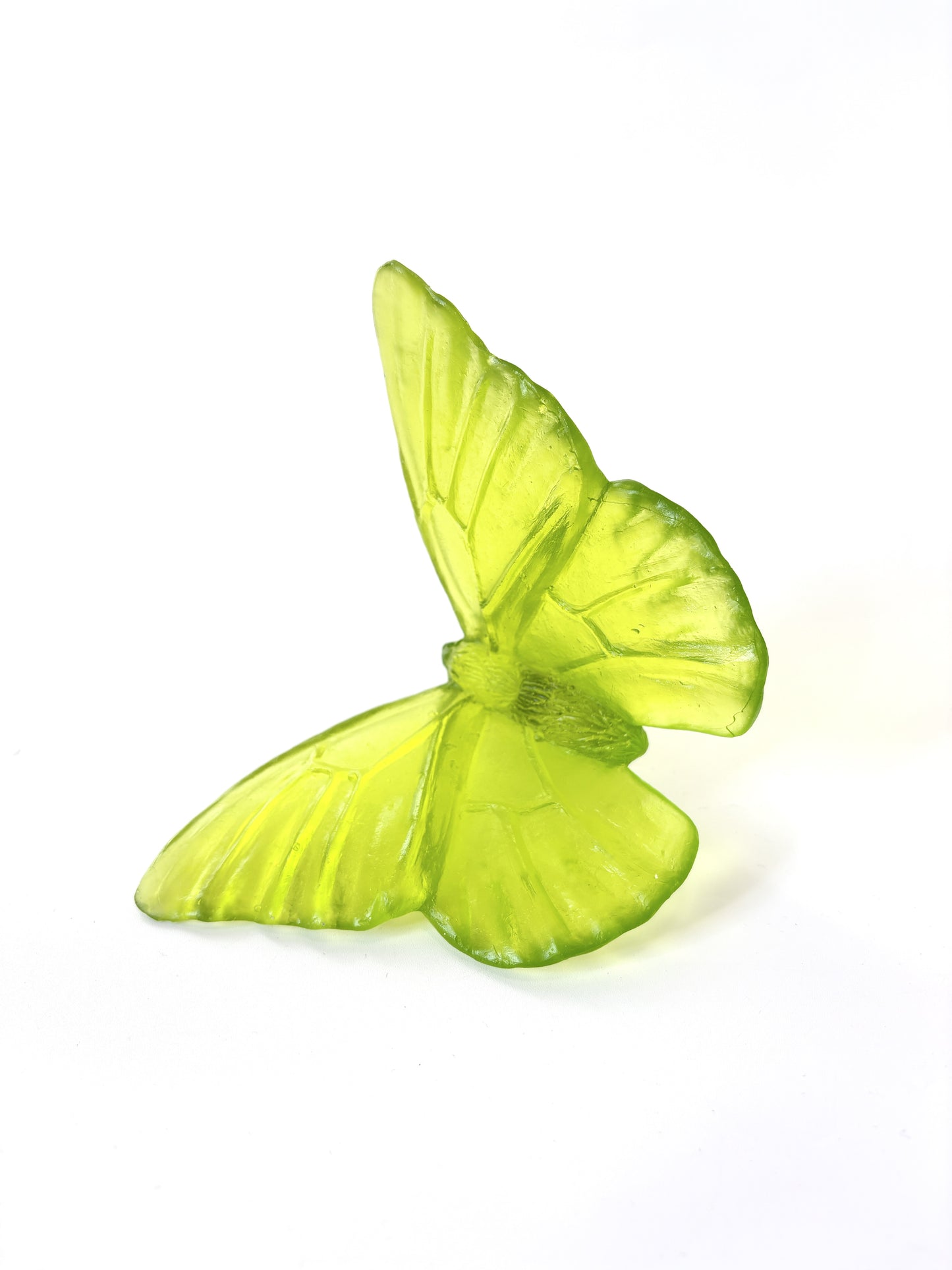 Lime  Medium Glass Butterfly Artwork - Classic - by Luke Jacomb