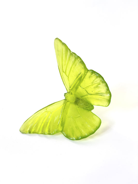Lime  Medium Glass Butterfly Artwork - Classic - by Luke Jacomb