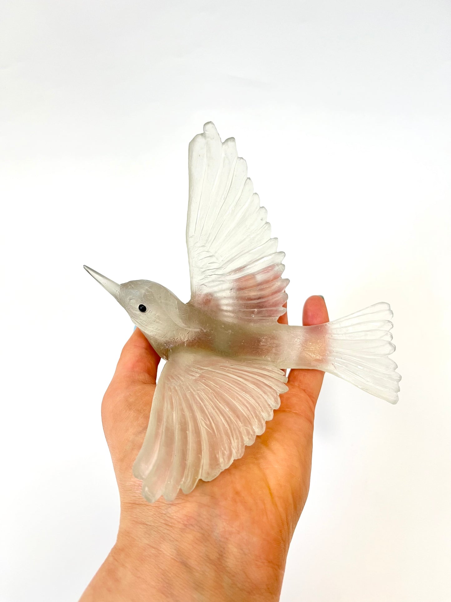 Silvereye / Tauhou - Pale Bronze